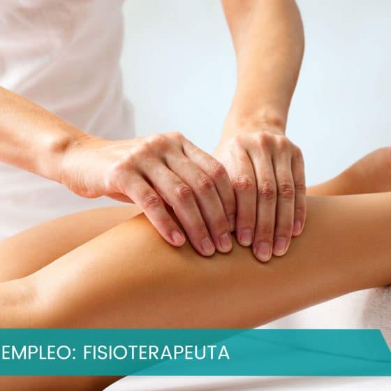 trabajo de fisioterapeuta en vigo pontevedra